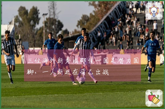 三位海外新秀成邵佳一国足潜力国脚，一人新近在荷乙出战